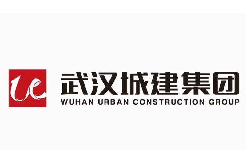 武汉公司排名：行业趋势与企业竞争力分析